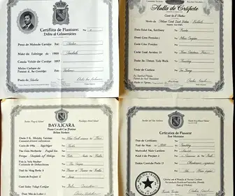 certidões antigas em cartórios brasileiros